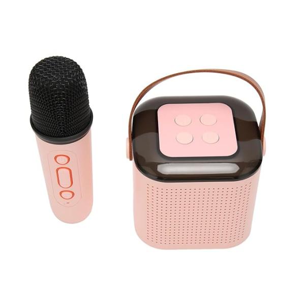 Wireless Speaker With Mike